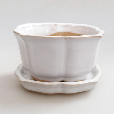 Bonsai bowl + tray H95 - bowl 7 x 7 x 4,5 cm, tray 7 x 7 x 1 cm, white
