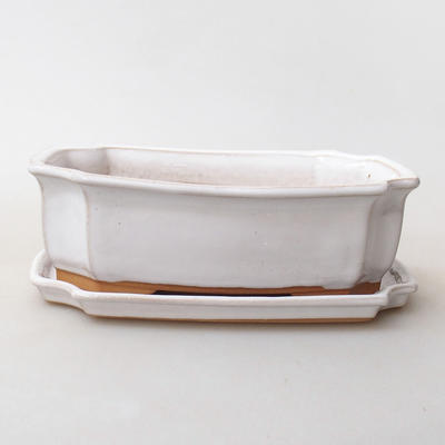 Bonsai bowl + saucer H17 - bowl 14.5 x 10.5 x 4.5 cm, saucer 14.5 x 10 x 1 cm, white