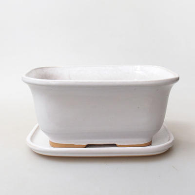 Bonsai bowl tray H36 - bowl 17 x 15 x 8 cm, tray 17 x 15 x 1 cm, white - bowl 17 x 15 x 8 cm, bowl 17 x 15 x 1 cm