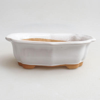 Ceramic bonsai bowl H 51 - 17.5 x 13.5 x 5.5 cm - 1
