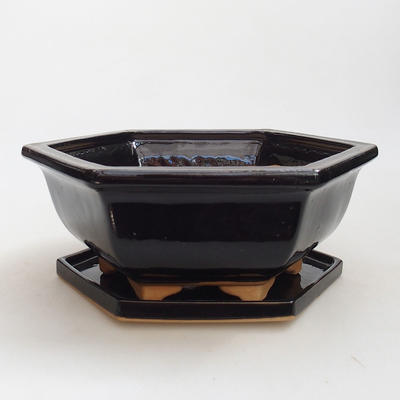 Bonsai bowl + saucer H 57 - bowl 19 x 18 x 7.5 m, saucer 19 x 18 x 1.5 cm, black glossy