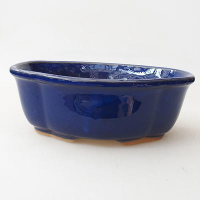 Bonsai bowl H 75 - 19 x 14 x 7 cm, blue - 1