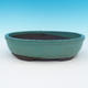Bonsai bowl 30,5 x 21 x 8 cm - 1/6