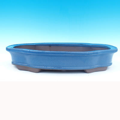 Bonsai bowl 52 x 37 x 10 cm - 1