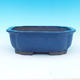 Bonsai bowl 30 x 25 x 10 cm - 1/6