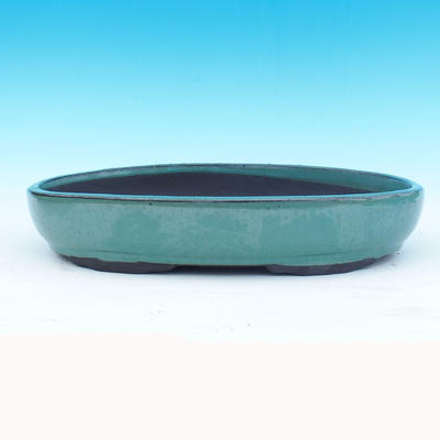 Bonsai bowl 36 x 25 x 7 cm - 1