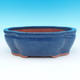 Bonsai bowl 35 x 28 x 12 cm - 1/6