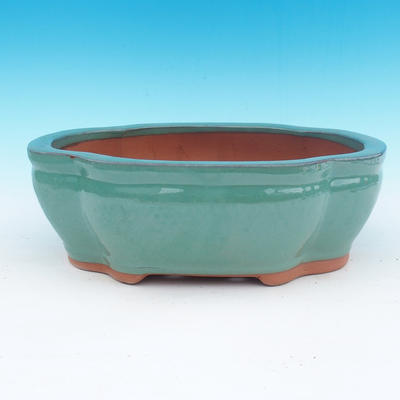 Bonsai bowl 35 x 28 x 12 cm - 1