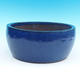 Bonsai bowl 31 x 31 x 13 cm - 1/6