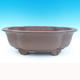 Bonsai bowl 51 x 42 x 17 cm - 1/6