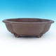 Bonsai bowl 43 x 33 x 13 cm - 1/6