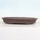Bonsai bowl 56 x 40 x 8 cm, natural color - 1/5