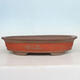 Bonsai bowl 60 x 37 x 13 cm, natural color - 1/5