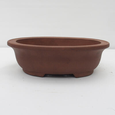 Bonsai bowl 34 x 27 x 10 cm - Japanese quality - 1