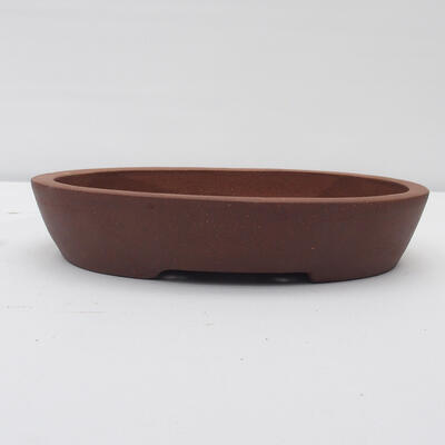 Bonsai bowl 30 x 24 x 6 cm - Japanese quality - 1