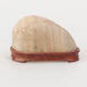 Suiseki - Stone with DAI (wooden pad) - 1/5
