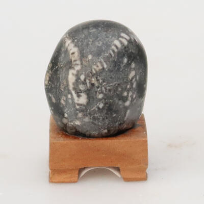 Suiseki - Stone with DAI (wooden pad) - 1