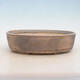 Bonsai bowl 32 x 24 x 8.5 cm, gray-beige color - 1/5
