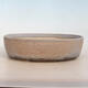 Bonsai bowl 31 x 24 x 8.5 cm, gray-beige color - 1/5