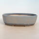 Bonsai bowl 27 x 19.5 x 8 cm, color blue-gray - 1/5