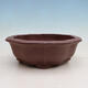 Bonsai bowl 32 x 32 x 11 cm, color brown - 1/6