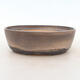 Bonsai bowl 22 x 16.5 x 6 cm, gray-beige color - 1/5