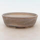Bonsai bowl 22 x 17 x 7 cm, gray-beige color - 1/5