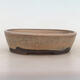 Bonsai bowl 19.5 x 15.5 x 5 cm, gray-beige color - 1/5