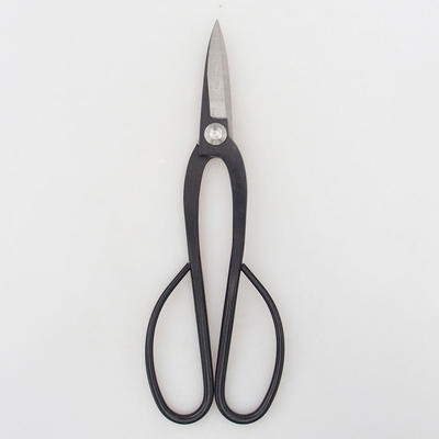 Scissors 200 mm long - carbon - 1