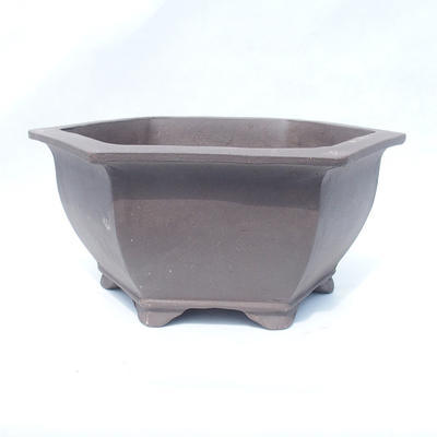 Bonsai bowl 32 x 18 x 14 cm - 1