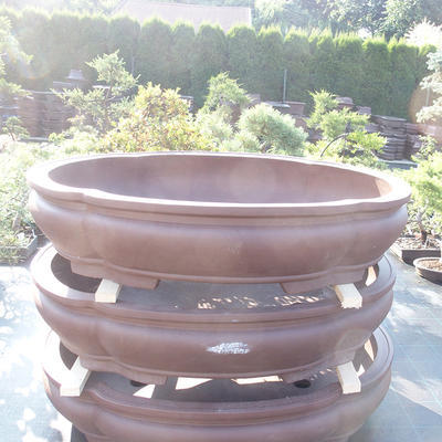 Bonsai bowl 118 x 94 x 25 cm - 1