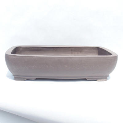 Bonsai bowl 62 x 41 x 14 cm - 1