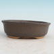 Ceramic bonsai bowl H 04 - 10 x 7,5 x 3,5 cm, brown - 10 x 7.5 x 3.5 cm - 1/3