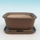 Bonsai bowl + tray H37 - bowl 14 x 12 x 7 cm, tray 14 x 13 x 1 cm, brown - bowl 14 x 12 x 7 cm, tray 14 x 13 x 1 cm - 1/3