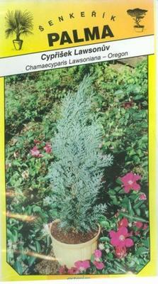 Lawson's cypress - Chamacyparis lawsoniana