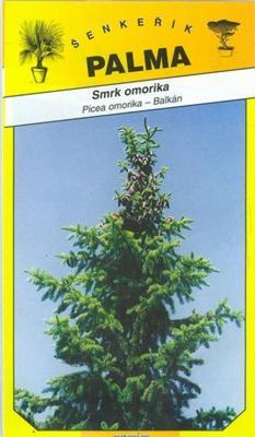 Omorika Spruce - Picea omorika