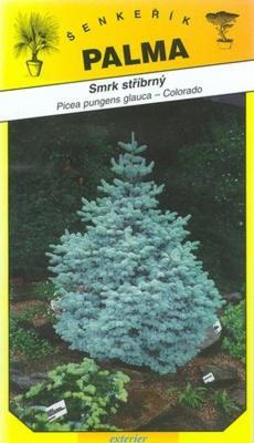 Silver Spruce - Picea glauca pungenc