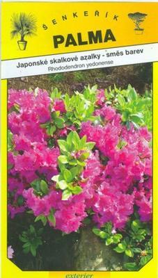 Japanese azaleas rockery - Rhododendron yedonense