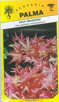 Japanese Maple - Acer palmatum Atropurpureum