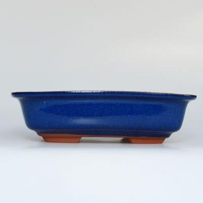 Ceramic bonsai bowl H 02 - 19 x 13,5 x 5 cm, blue - 19 x 13.5 x 5 cm - 1
