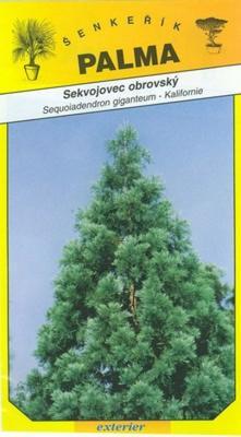 Sekvojec huge - Sequoiadendron giganteum