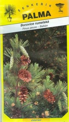 Pinus peuce - Balkans