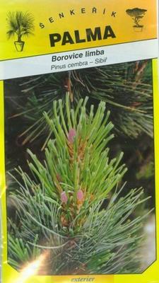Limba Pine - Pinus cembra