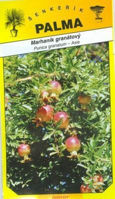 Pomegranate Pomegranate - Punica granatum
