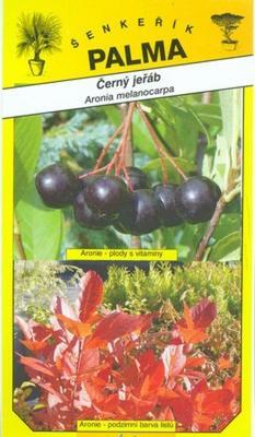Black Crane - Aronia melanocarpa