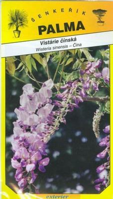 Chinese wisteria - Wisteria sinensis