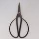 Cutting Scissors 19 cm - 1/2
