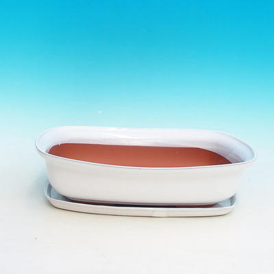 Bonsai bowl tray H10 - bowl 37 x 27 x 10 cm, tray 34 x 23 x 2 cm, white - bowl 37 x 27 x 10 cm, tray 34 x 23 x 2 cm - 1