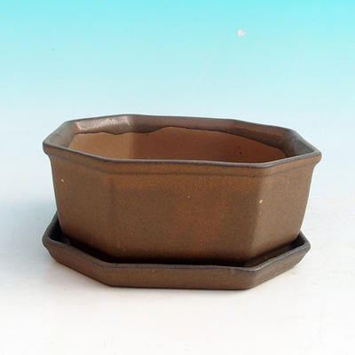 Bonsai bowl + tray H 13 - bowl11,5 x 11,5 x 4,5 cm, tray 11,5 x 11,5 x 1 cm, black - bowl 11,5 x 11,5 x 4,5 cm, tray 11,5 x 11,5 x 1 cm - 1