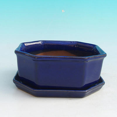Bonsai bowl + tray H 13 - bowl11,5 x 11,5 x 4,5 cm, tray 11,5 x 11,5 x 1 cm, blue - bowl 11,5 x 11,5 x 4,5 cm, tray 11,5 x 11,5 x 1 cm - 1
